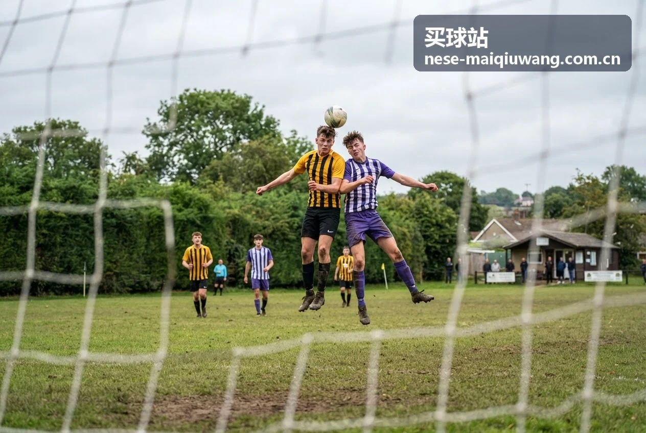 买球站数据查询实时信息服务